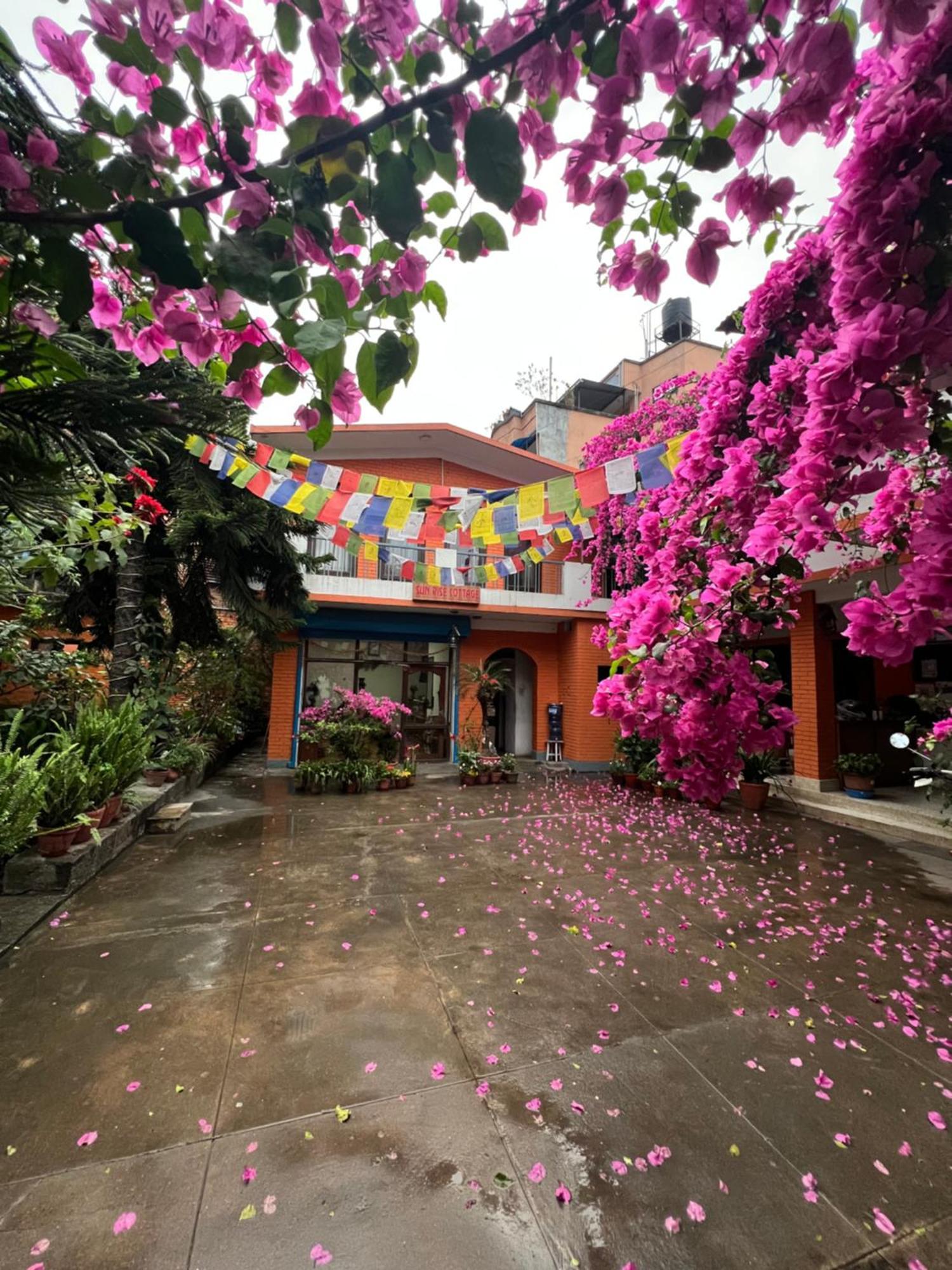 Sun Rise Cottage Kathmandu Exterior photo